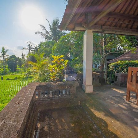 Puri Cili Villa Ubud 外观 照片