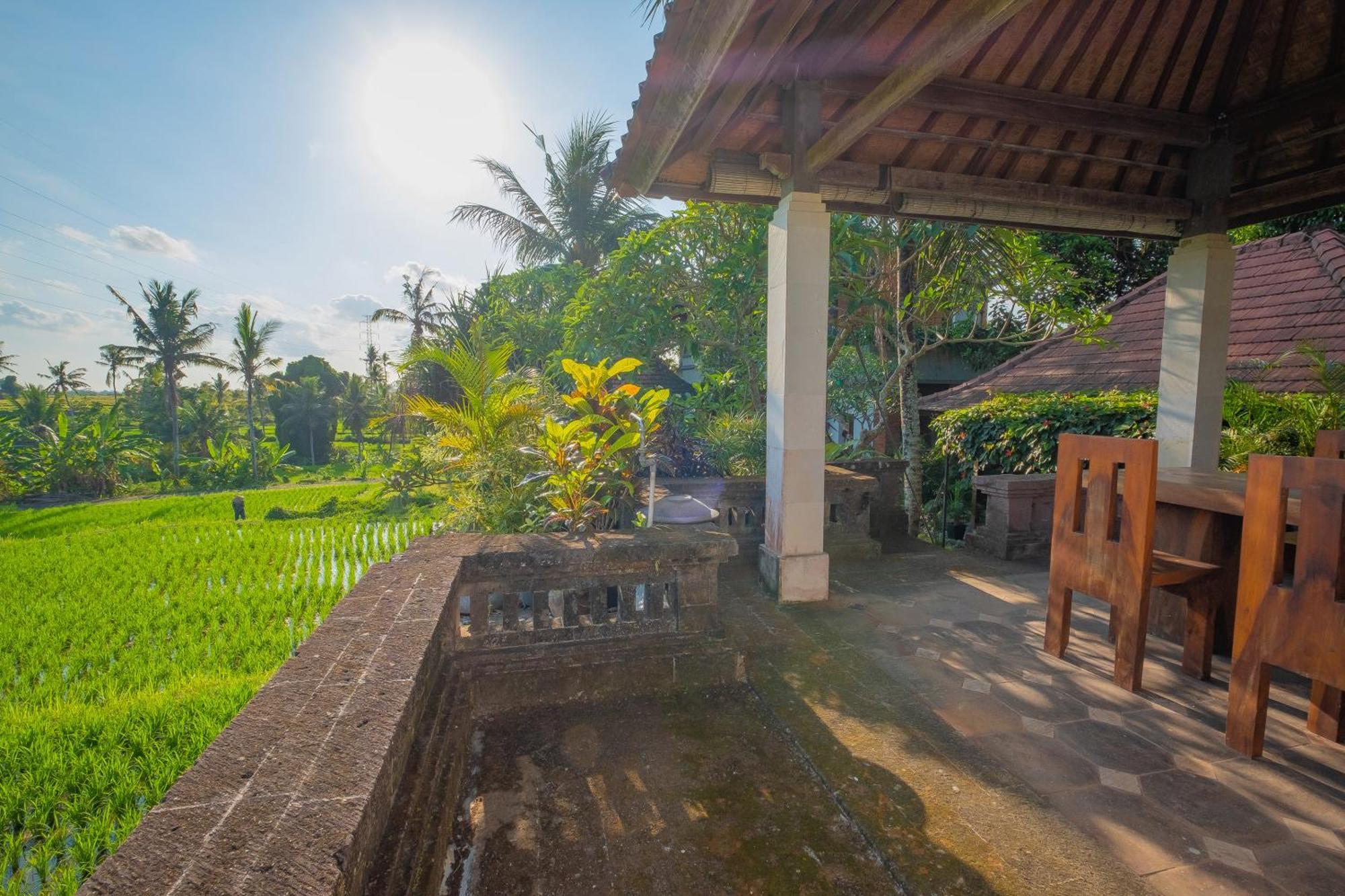 Puri Cili Villa Ubud 外观 照片